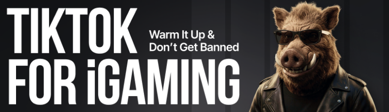 Как прогреть аккаунт в TikTok и не словить бан