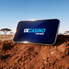 1xCasino Partners в Африке: что нужно знать для успешной работы на рынке. Часть 2