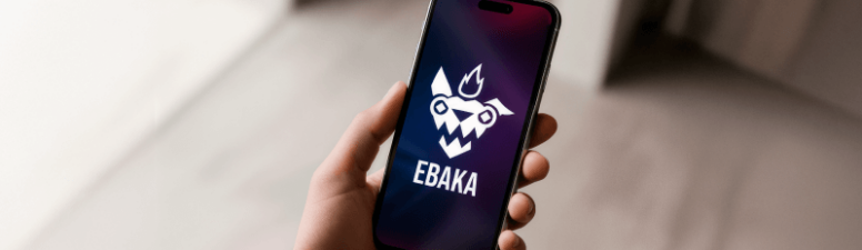 «Сочетание хаоса и души», — знакомство с Ebaka Games