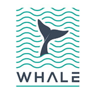 https://ggate.media/wp-content/uploads/2026/05/whale-affiliates.jpg