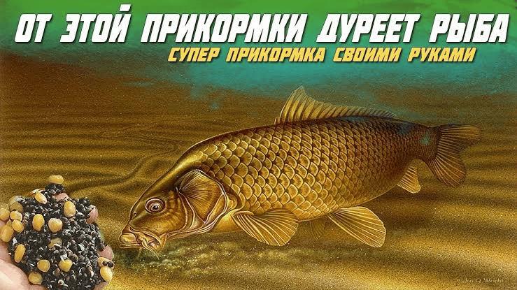Офферы, на которых мы выросли